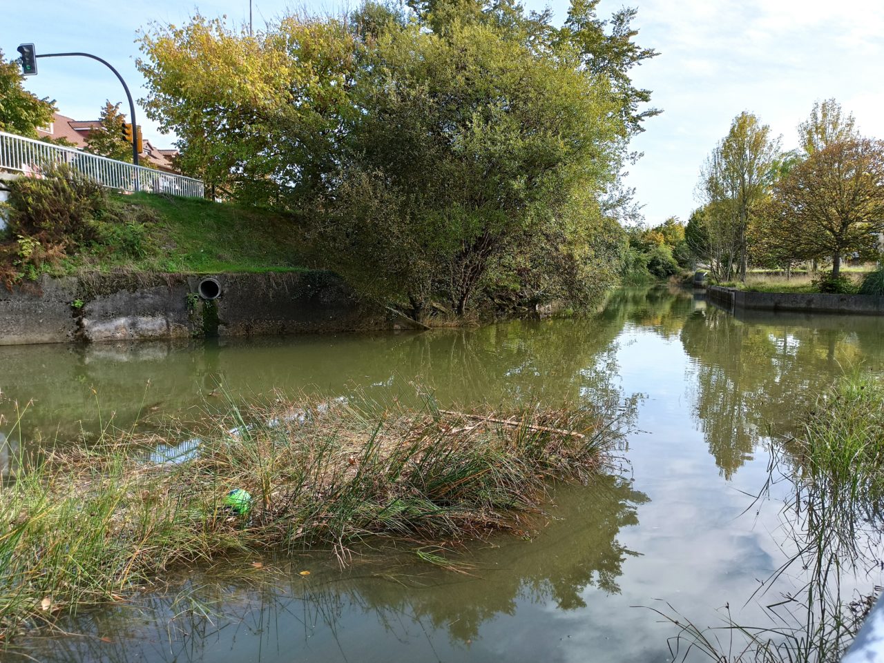 rio piles migijon