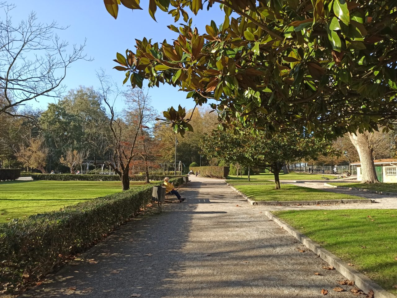 Parque Isabel La Católica (David Pérez)