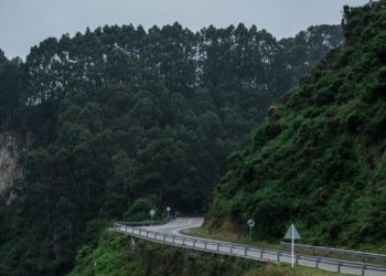 Sale a información pública la evaluación de impacto ambiental del corredor del Navia