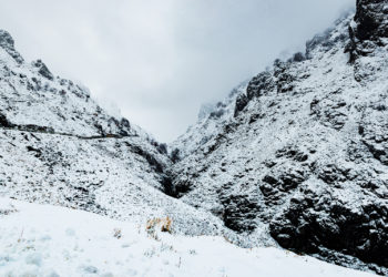 Cuarta noche sin Carlos, el corredor desparecido en Picos de Europa