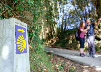 Convocado el Premio Diarios del Camino de Santiago