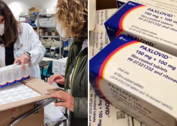 Asturias recibe los primeros 254 antivirales que frenan la gravedad de la covid en pacientes de riesgo