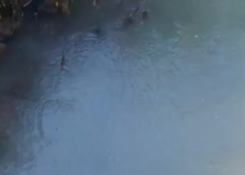 Vídeo: La contaminación fluye por el río Piles