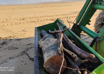 Emulsa retira cerca de 4.600 kilos de madera de la playa de San Lorenzo