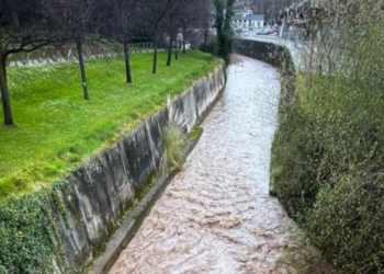 «No se deben desarrollar proyectos cuya máxima es la de la libertad de flujo del agua en el tramo urbano del Piles»