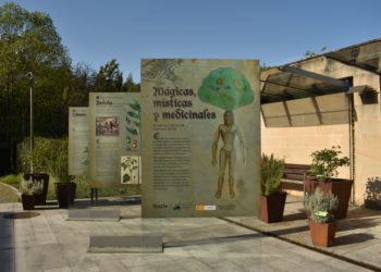 El Botánico inaugura la exposición ‘Mágicas, místicas y medicinales. Plantas y hongos psicoactivos’
