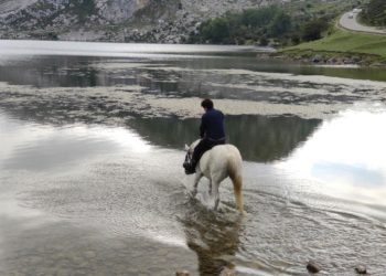 El consejo de la red de Parques Nacionales, favorable al nuevo plan de gestión de Picos de Europa