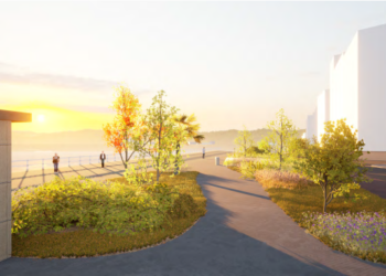 Vegetación El Muro San Lorenzo