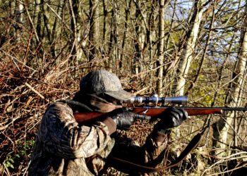 Se constituyen nuevos cotos de caza en Allande, Boal, Coaña, El Franco y Pesoz