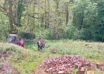 Herido mientras cortaba leña en una pista de Nava