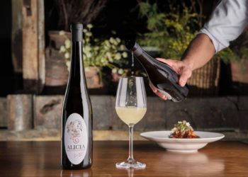 Alicia, el regalo perfecto para conquistar a tu madre