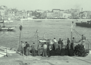 Pescadores en el Puerto de Gijón