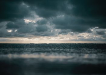 El Tiempo de Javimo |  Finde de grises