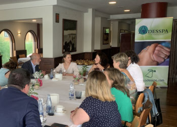 Empresas y Principado colaborarán para mejorar la formación, condiciones y calidad del servicio de ayuda a domicilio