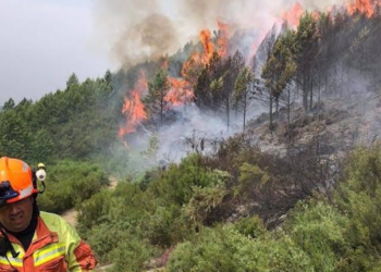 Asturias contabiliza este lunes ocho incendios forestales
