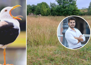 Bichos, una excusa en miniatura