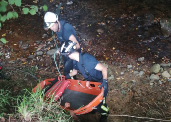 Encontrado el cuerpo sin vida de un hombre en el viaducto de Pinzales