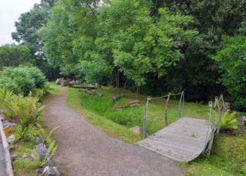 El Jardín Botánico Atlántico organiza rastreos de fauna nocturna durante el mes de julio