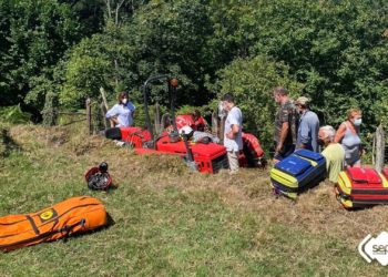 Trasladado en helicóptero tras recibir varias picaduras de avispas en Langreo
