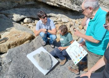 Hallan nuevas huellas de dinosaurio en los acantilados de Lastres