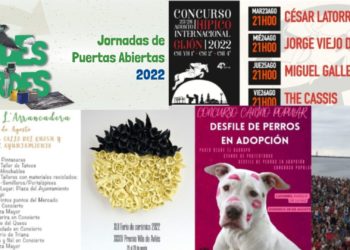 PLANES | Hípico, conciertos, Findes Verdes, Récord de la Sidra y mucho más