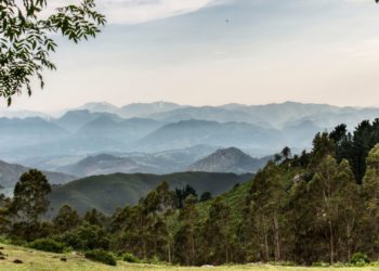 Los ayuntamientos tendrán ayudas para desarrollos forestales e incendios
