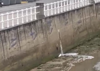 VÍDEO | El Piles sufre un nuevo vertido contaminante en sus aguas