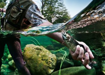 El Principado selecciona los ríos para el Campeonato del Mundo de Pesca en Asturias