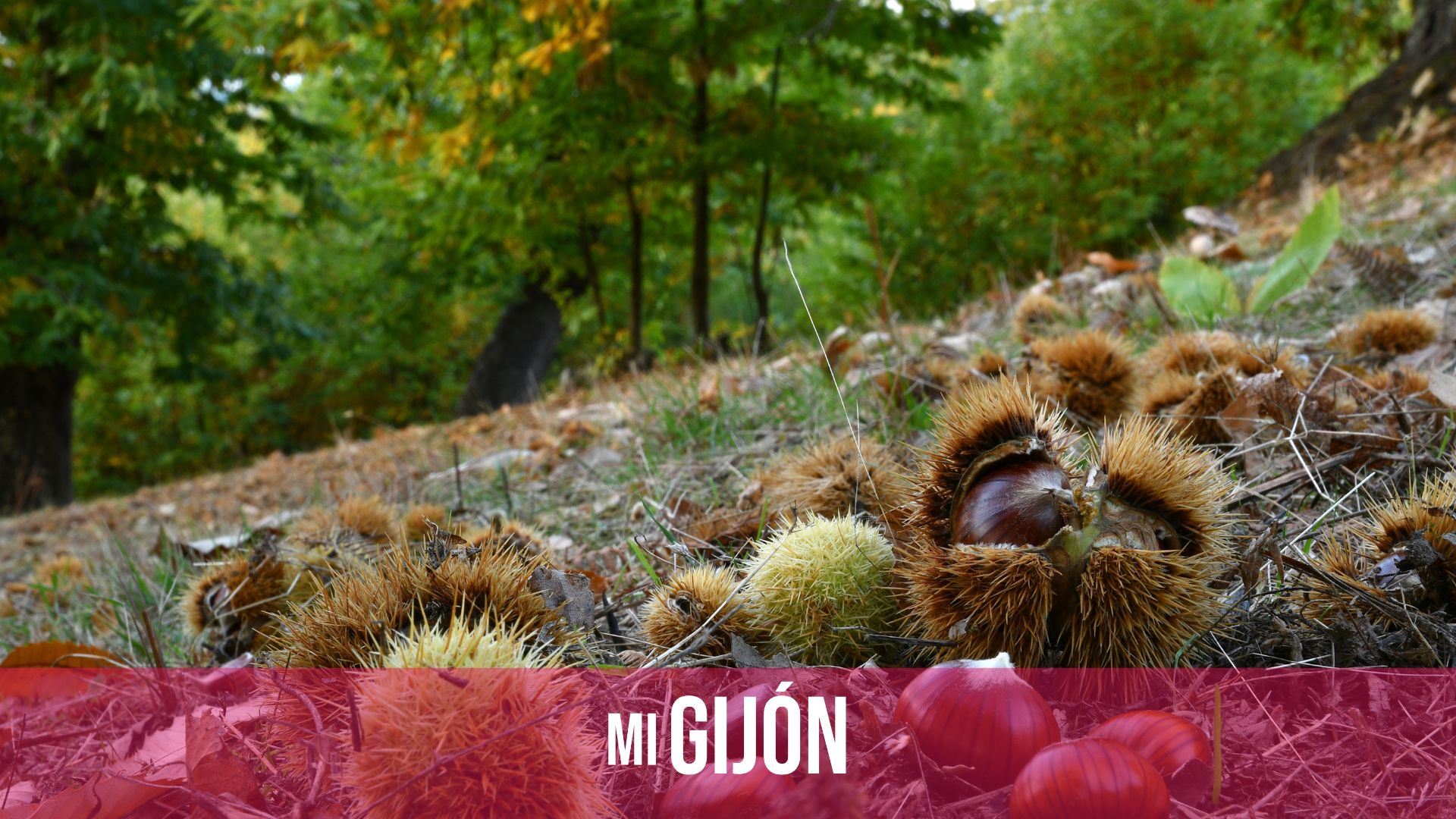 Here are six tips to better face autumn in Gijón