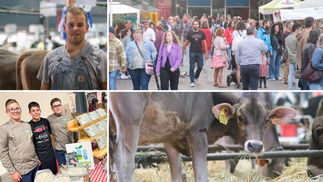 El mundo rural conquista el recinto ferial gracias a Agropec - miGijón