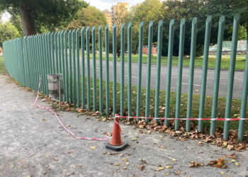 Denuncian que un nido de avispa asiática lleva más de un mes en el parque Isabel la Católica