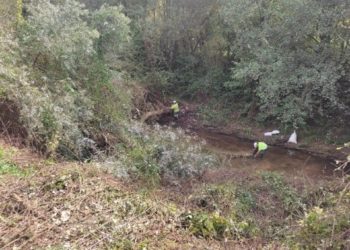 Iniciados los trabajos de conservación en los ríos Aboño y Pinzales