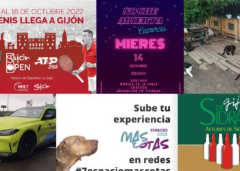 PLANES | Tenis, Gijón de Sidra y una feria exclusiva para tus mascotas, entre los planes para este fin de semana