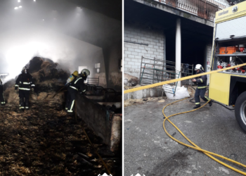 Cuatro vacas y varios terneros mueren en un incendio en una cuadra de Allande