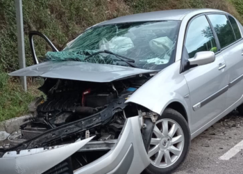 Heridos dos hombres al salirse de la vía su vehículo en la N-625 en Amieva