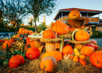 Jesús Martínez Salvador (Foro): «Nos esforzamos en convertir el Jardín Botánico en visita habitual y lo han tirado por tierra»