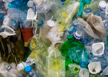 El PP reclama medidas para mejorar la tasa de reciclaje: «Seguimos lejos del 50% que nos exige la UE»