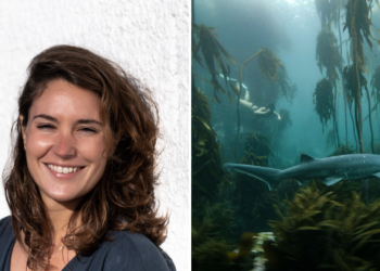 La oscarizada Pippa Ehrlich visitará Gijón para participar en en el Wild Oceans FilmFest