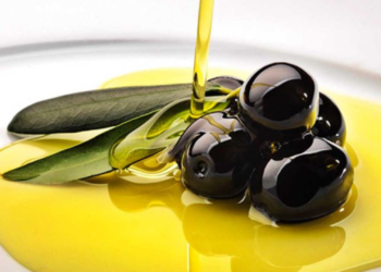 El mejor aceite de oliva, ahora directo a tu casa