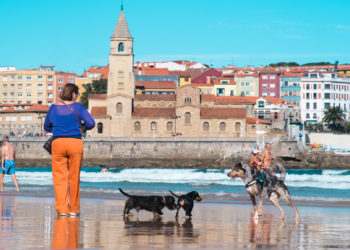 Un día de perros en San Lorenzo