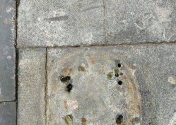 Historia de una papelera