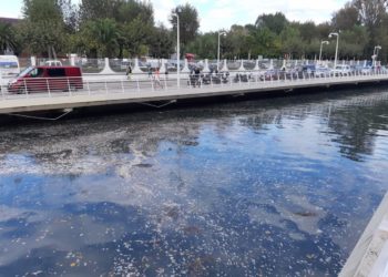 El Grupo: “Nos asombra el desprecio mostrado por Aurelio Martín”