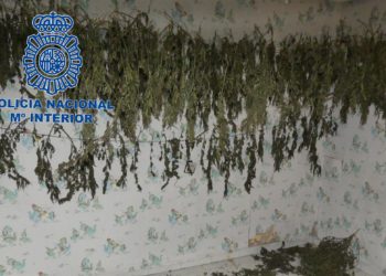 La Policía desmantela un centro de secado de marihuana en San Martín del Rey Aurelio