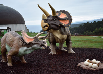 El MUJA celebra la Semana de la Ciencia y la Tecnología