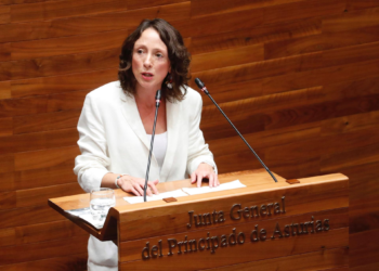 Melania Álvarez reconoce que el Principado tiene «dificultades» para pagar las ayudas por acogimiento familiar de menores