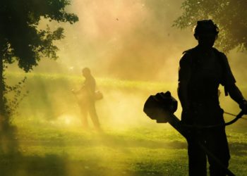 Los Talleres de Empleo ofertan 540 plazas en Asturias