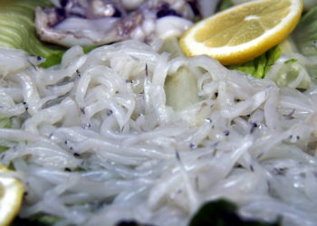 Ecologistas de Asturias piden la prohibición de la pesca de la angula