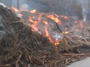 VÍDEO | Restos vegetales generan un incendio en Carbaínos