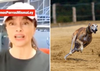 La asturiana Beatriz Rico apoya la campaña #MismosPerrosMismaLey