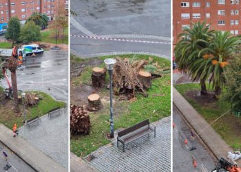 Alejandro Romero, sobre el Parque de las Palmeras: «Contrueces lleva cuatro años abandonado»